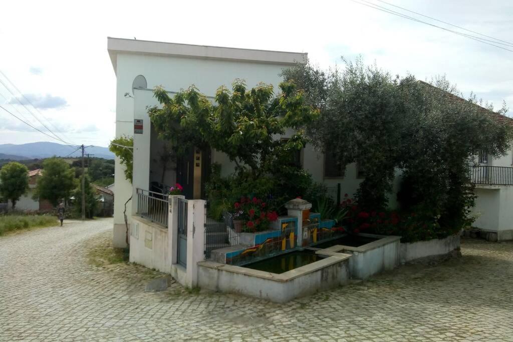 Milhão Casa Da Oliveira 아파트 외부 사진