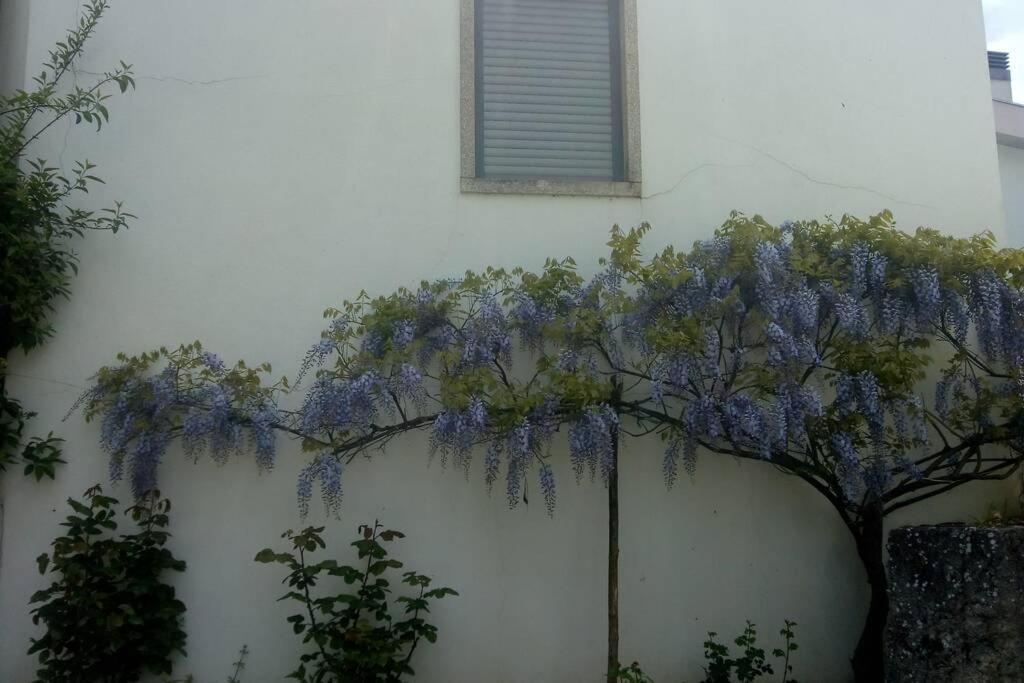 Milhão Casa Da Oliveira 아파트 외부 사진